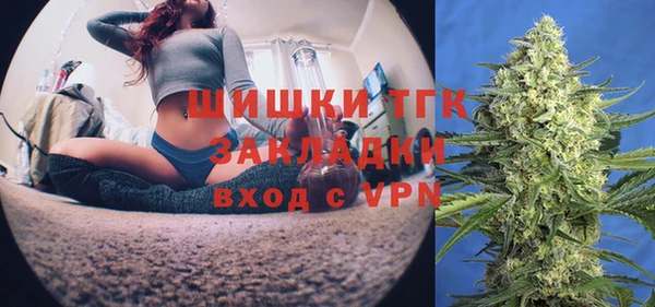 винт Алексин