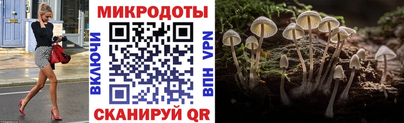 продажа наркотиков  Заволжск  Галлюциногенные грибы мицелий 