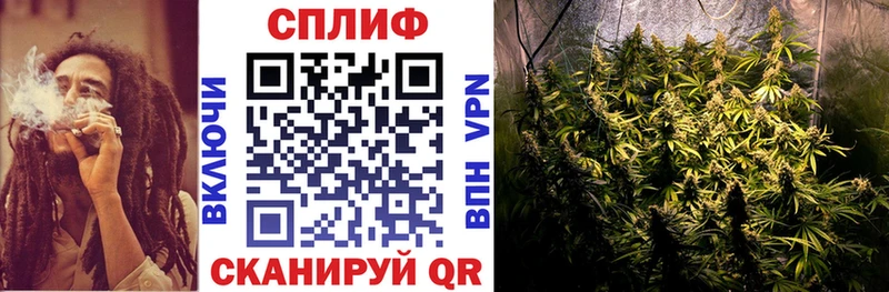 Конопля SATIVA & INDICA  Заволжск 
